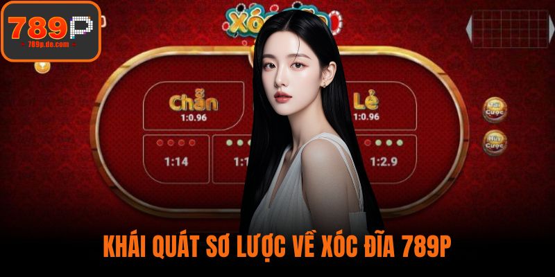 Khái quát sơ lược về xóc đĩa 789P
