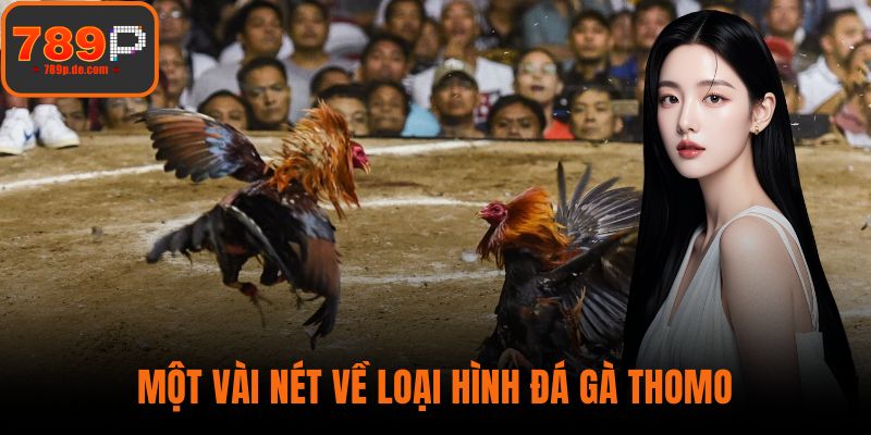 Một vài nét về loại hình đá gà Thomo